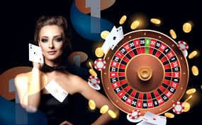 333bet com