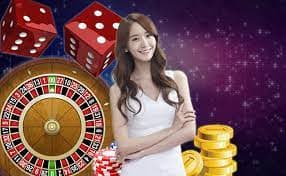 333bet com