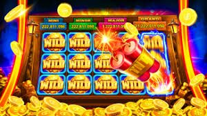 333bet com